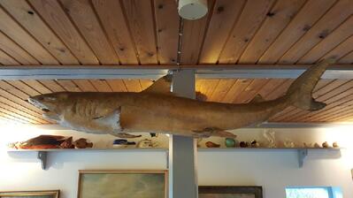 Restaurant "Den Fuldkomne Fisker"